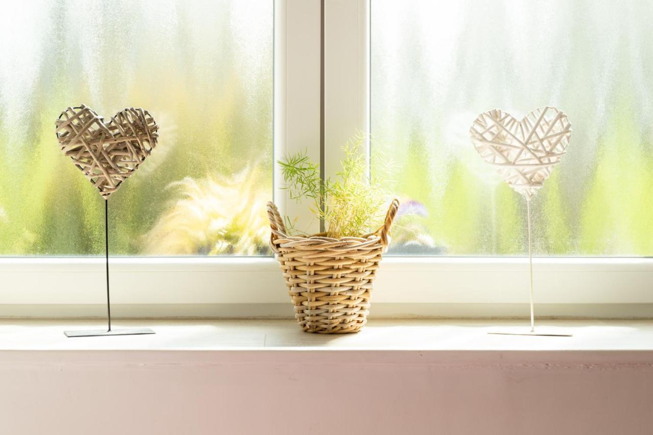 Studio Bienvenue Du Cote De Chez Nous Avec Jardin Privatif Wignehies Ngoại thất bức ảnh